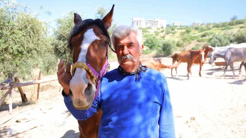 Kahramanmaraş'ta Kaçan Atlar Bulundu