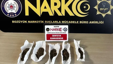 Bilecik'te Bonzai Ele Geçirildi