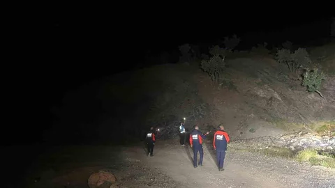 Siirt'te Kaybolan Çoban İçin Arama Başlatıldı