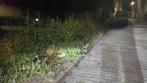 Bilecik'te Kaldırımlar Otlardan Yüzünden Kullanılamaz Hale Geldi