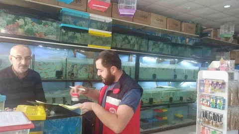 Kütahya'da Ev Hayvanı Satış Denetimi
