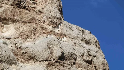 Dağ Keçileri Kayalıklarda Oynuyor