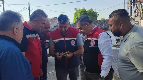 Aydın'da İlekleme Sezonu Takip Ediliyor