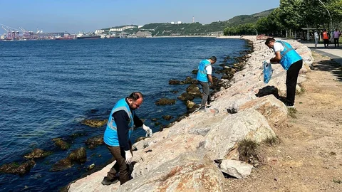 Dilovası'nda Sahil Temizliği Yapıldı