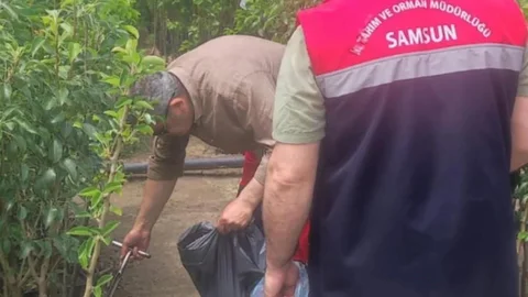 Samsun’da Fidancılık İşletmelerine Denetim Yapıldı
