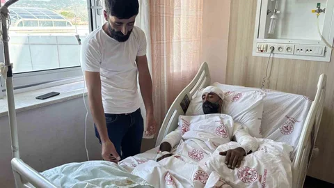 Bingöl'de Ayı Saldırısı ve Mantar Toplama