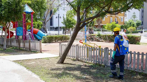 Antalya'da İlaçlama Çalışmaları Devam Ediyor
