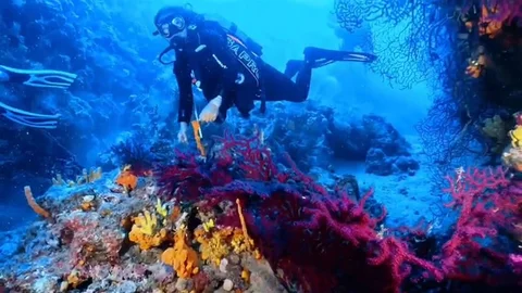 Ayvalık’ta Dalış Turizmi İçin Yeni Fırsatlar