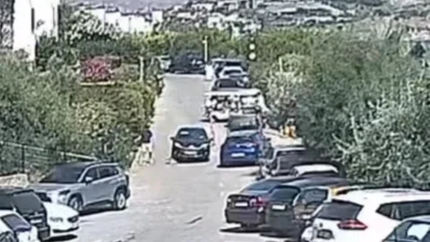 Bodrum'da Köpek Davasında Beraat Kararı