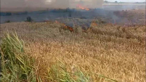 Uzunköprü'de Buğday Tarlasında Yangın