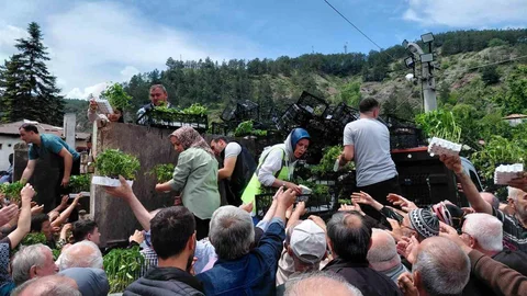 Bolu'da Ücretsiz Fide Dağıtımı Yapıldı