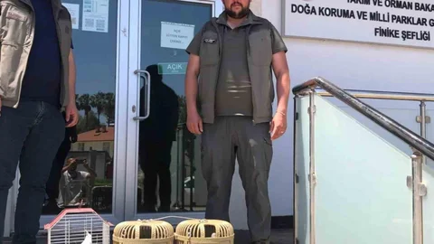Kuş Denetiminde Yasa Dışı Hayvanlara El Konuldu