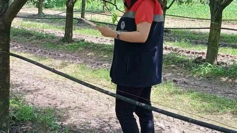 Çarşamba'da Fındık Üreticilerine Uyarı