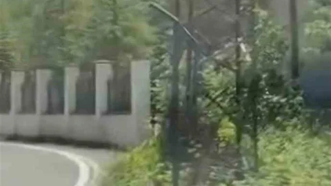 Trabzon'da Dağ Keçisi Yavrusu Görüntülendi