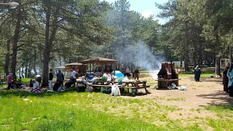 Bilecik'te Ormanlık Alanlarda Ateş Yakılması Yasaklandı