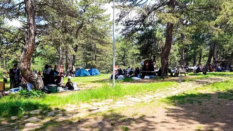 Bilecik'te Tabiat Parkı Ziyaretçi Akınına Uğruyor