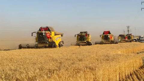Türkiye'nin En Büyük Tarım İşletmesinde Hasat Zamanı