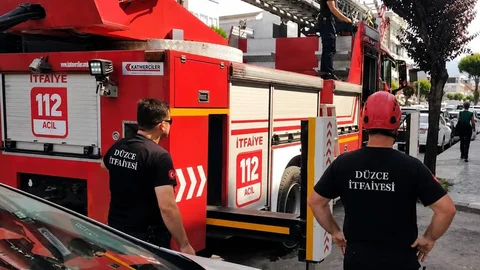 Düzce'de Korkan Papağana İtfaiye Yardımı