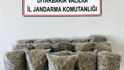 Diyarbakır'da 38,5 Kilo Esrar Yakalandı