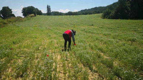 Gediz'de Tarımsal Kontroller Yapıldı