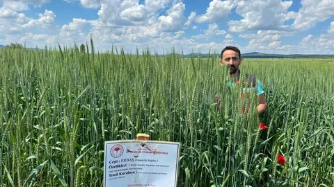 Çavdarhisar'da Tarım Kontrolleri Sürüyor