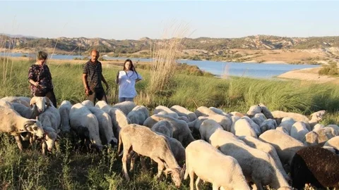 Denizli'de Çobanlık ve Eğitim Başarısı