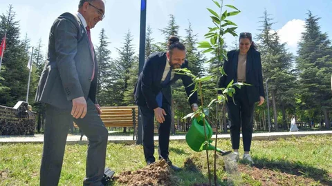 Bilecik'te Fidan Dikim Etkinliği
