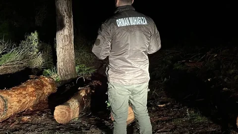 Sinop Ormanları Sürekli Koruma Altında