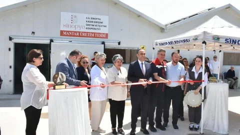 Sinop'ta Dikey Tarım Tesisi Açıldı