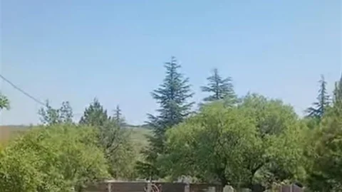 Elazığ'da Koruma Altındaki Dağ Keçileri