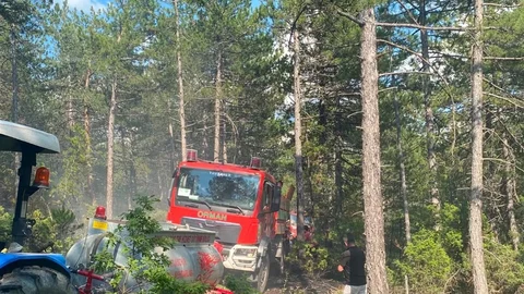 Kütahya'da Yıldırım Sonucu Orman Yangını Çıktı
