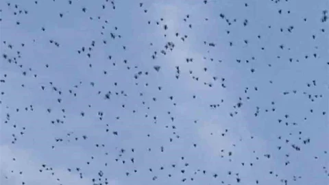 Elazığ'da İlginç Doğa Olayı