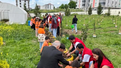 Samsun'da Öğrenciler Fideleri Toprakla Buluşturdu