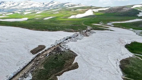 Van'da Karla Mücadele Çalışmaları Devam Ediyor