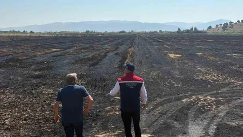 Söke'de Tarım Arazileri İnceleniyor