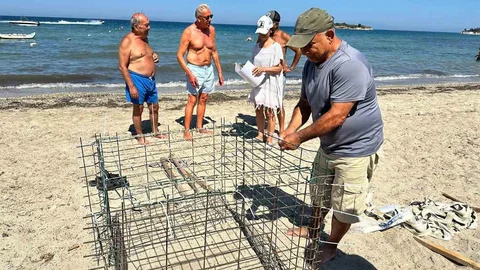 Didim'de İkinci Caretta Yuva Tespiti