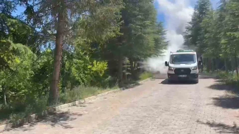 Darende'de Haşere Mücadelesi Devam Ediyor