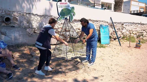 Didim'de Deniz Kaplumbağası Koruma Çalışmaları