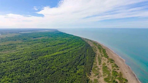 Samsun'da Yenilikçi Amazon Tabiat Parkı