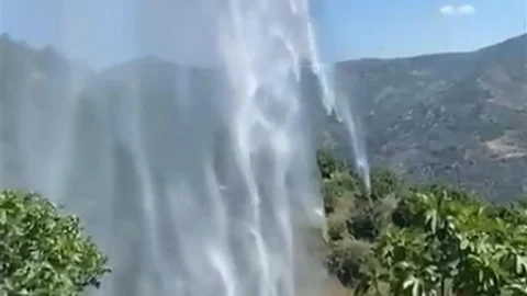 Aydın'da Bahçe Yangını