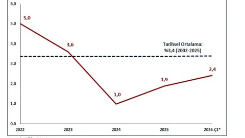 Türkiye'nin İhracat Yapısı ve Risk Yönetimi