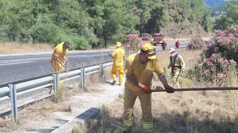Marmaris'te Orman Yangınlarıyla Mücadele