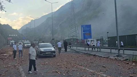 Trabzon'da Tır Yangını Paniğe Neden Oldu