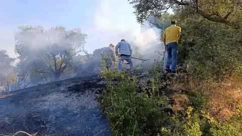 Bozdoğan'da Arazi Yangını Kontrol Altında