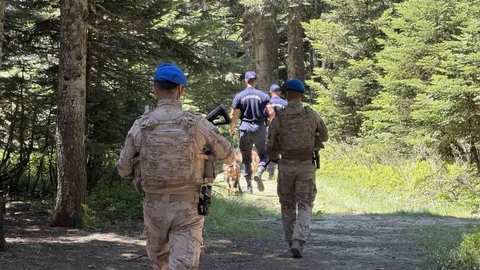 Uludağ Ormanları Jandarma Kontrolünde