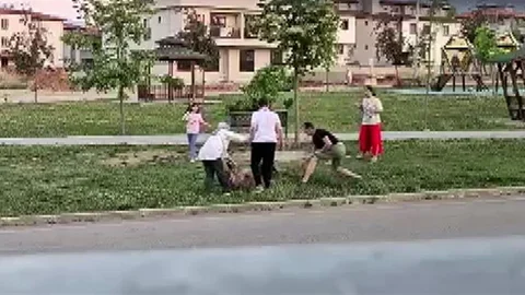 Denizli'de Parkta Köpek Saldırısı