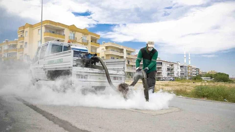Mersin'de Sinek ve Haşerelere Karşı Mücadele