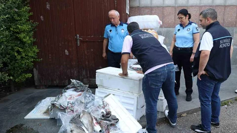 Antalya'da Balık Operasyonu Gerçekleşti