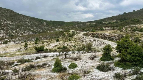 Uşak'ta Dolu Yağışı Etkili Oldu