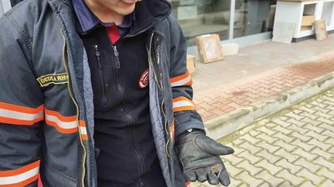 Çankırı’da Yaralı Yarasaya Müdahale